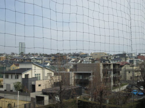 現地からの眺望