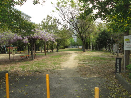 公園(周辺)
